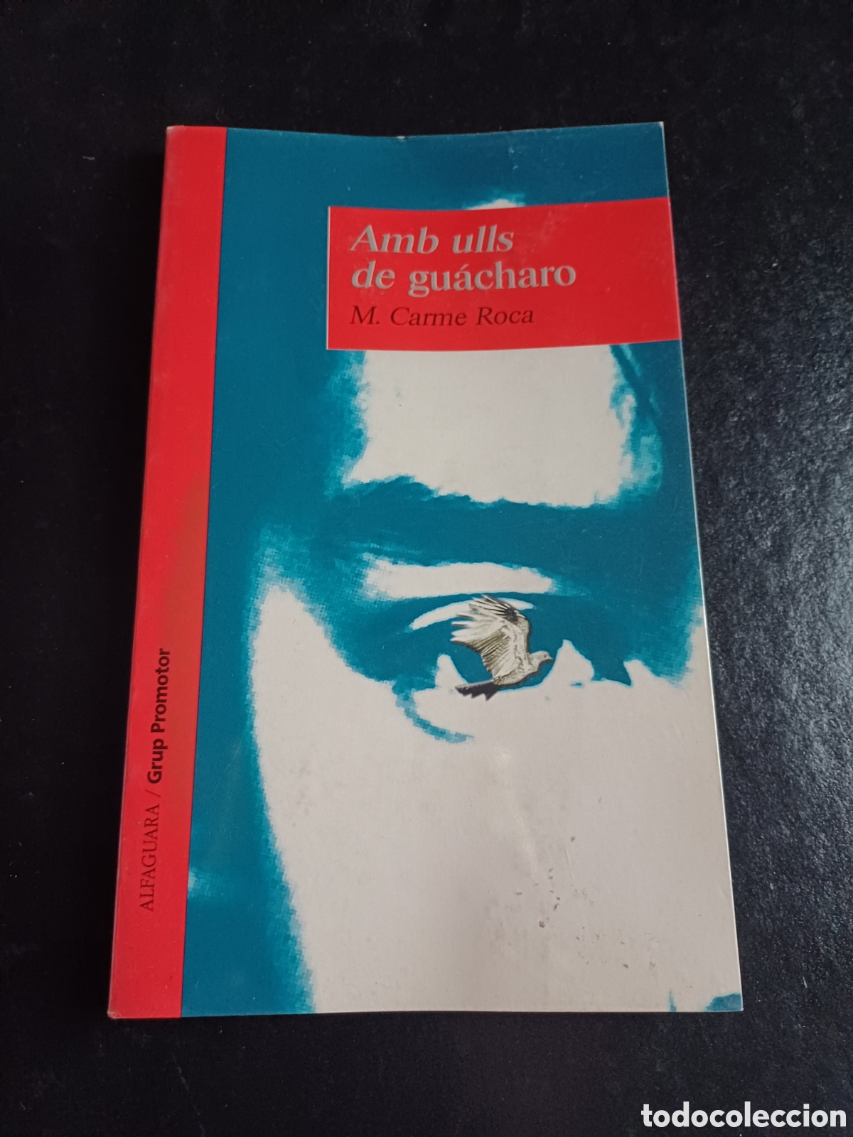 Libros: Amb ulls de gu&aacute;charo M. Carme Roca - Foto 1