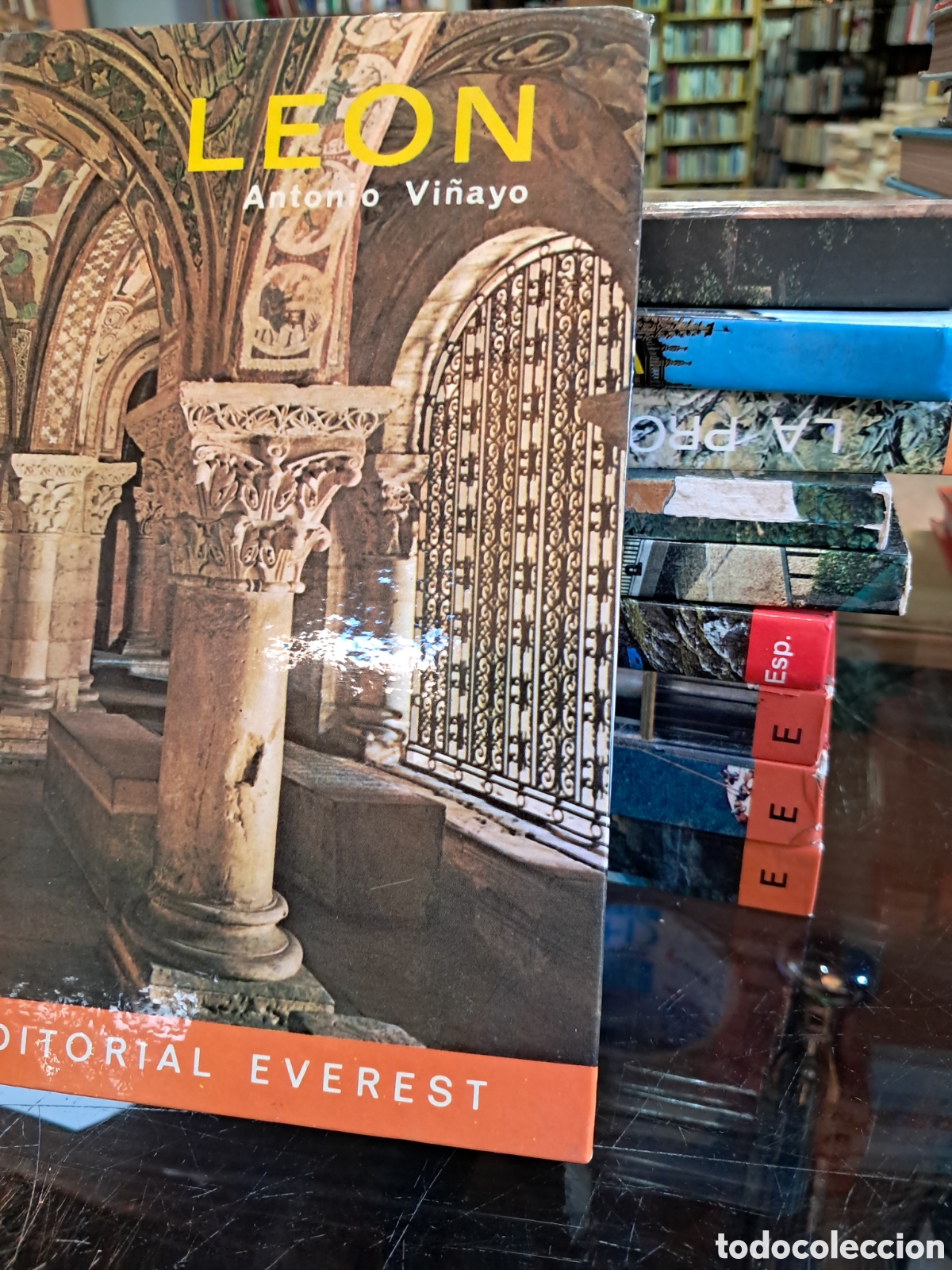 Libros: Gu&iacute;as Everest Le&oacute;n Antonio Vi&ntilde;ayo - Foto 1