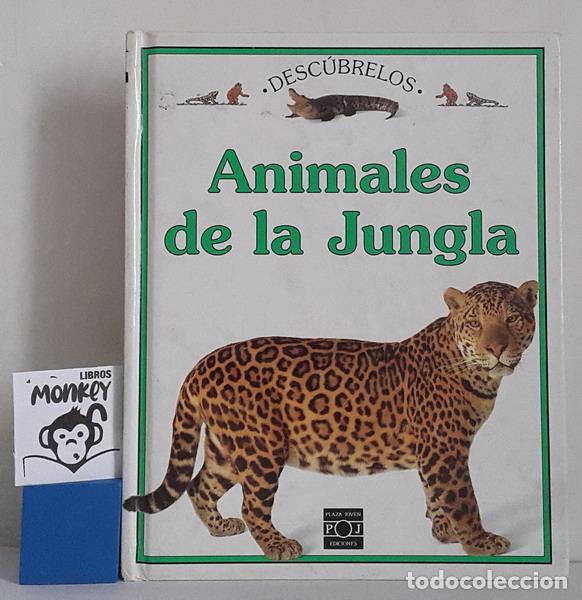 Libros: Animales en la jungla. Desc&uacute;brelos - Phillip Dowell - Foto 1