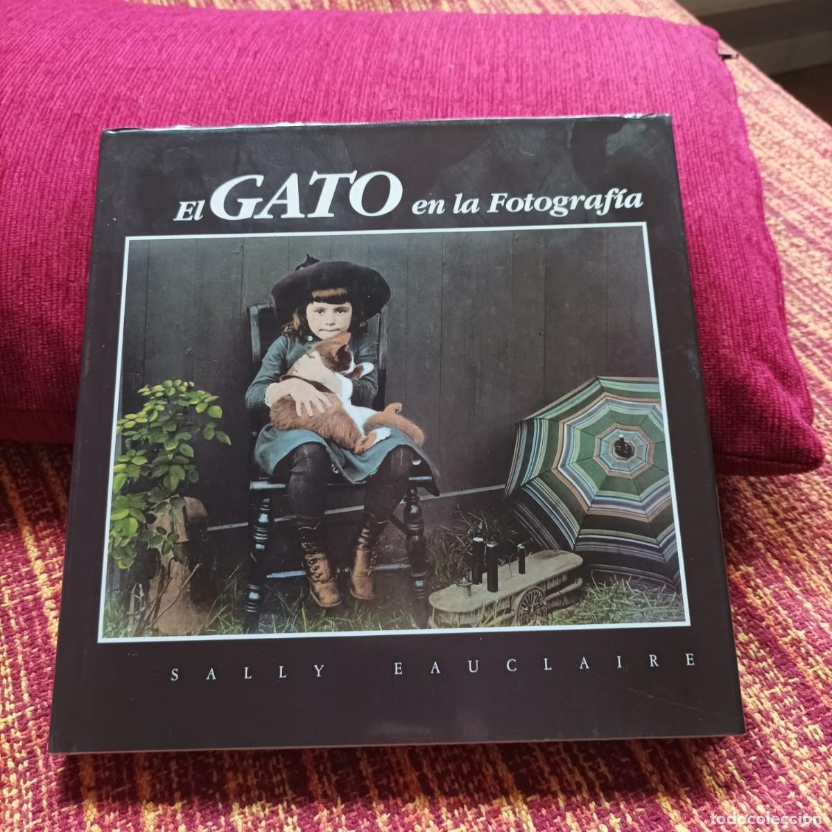 Libros: EL GATO EN LA FOTOGRAF&Iacute;A - Foto 1
