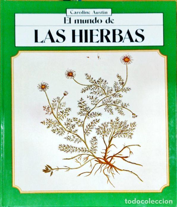Libros: El mundo de las hierbas - AUSTIN, CAROLINE - Foto 1