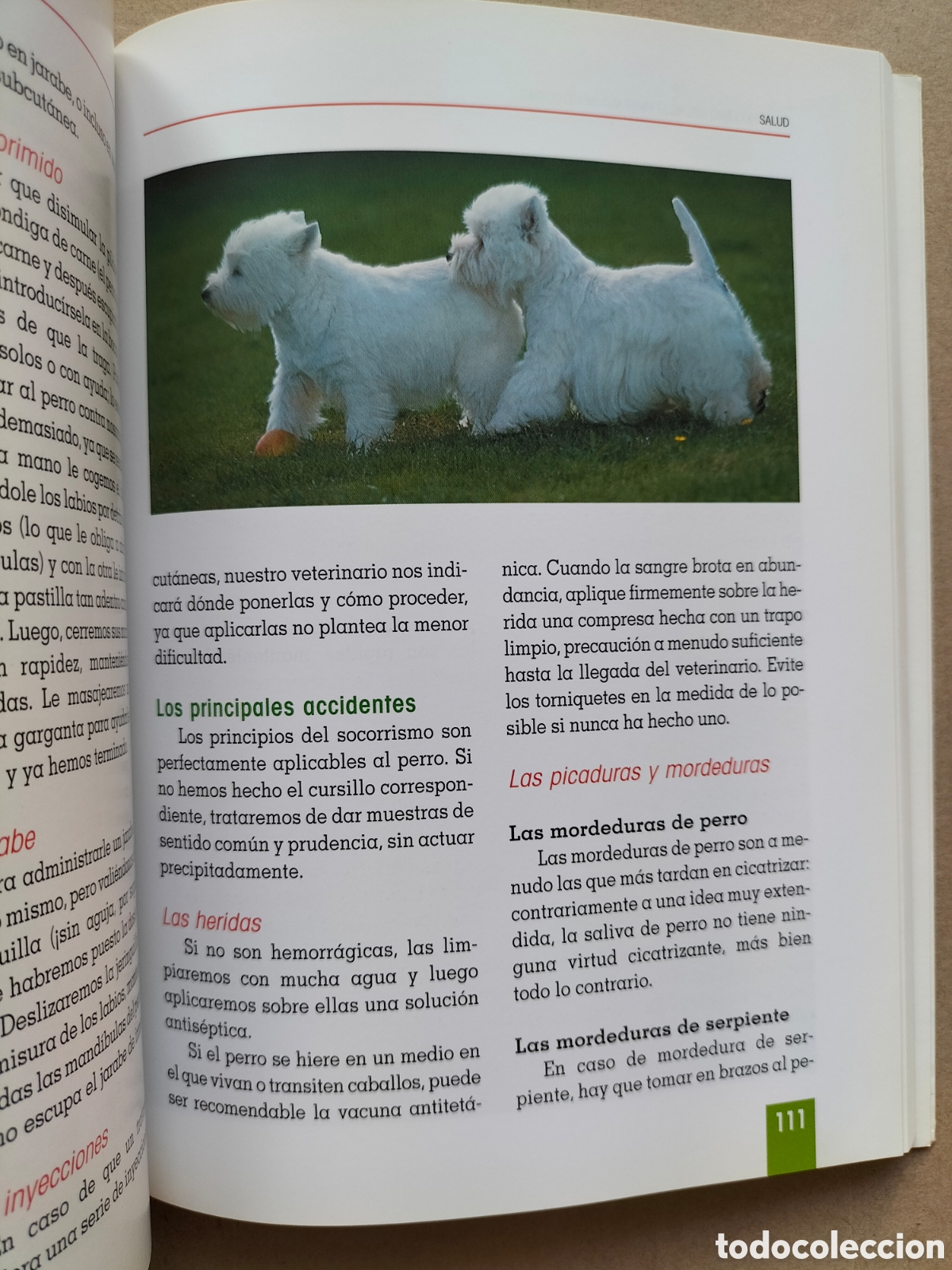 Libros: El nuevo libro del West Highland white terrier. Ruth OConnor. Tikal ediciones. Libro - Foto 6