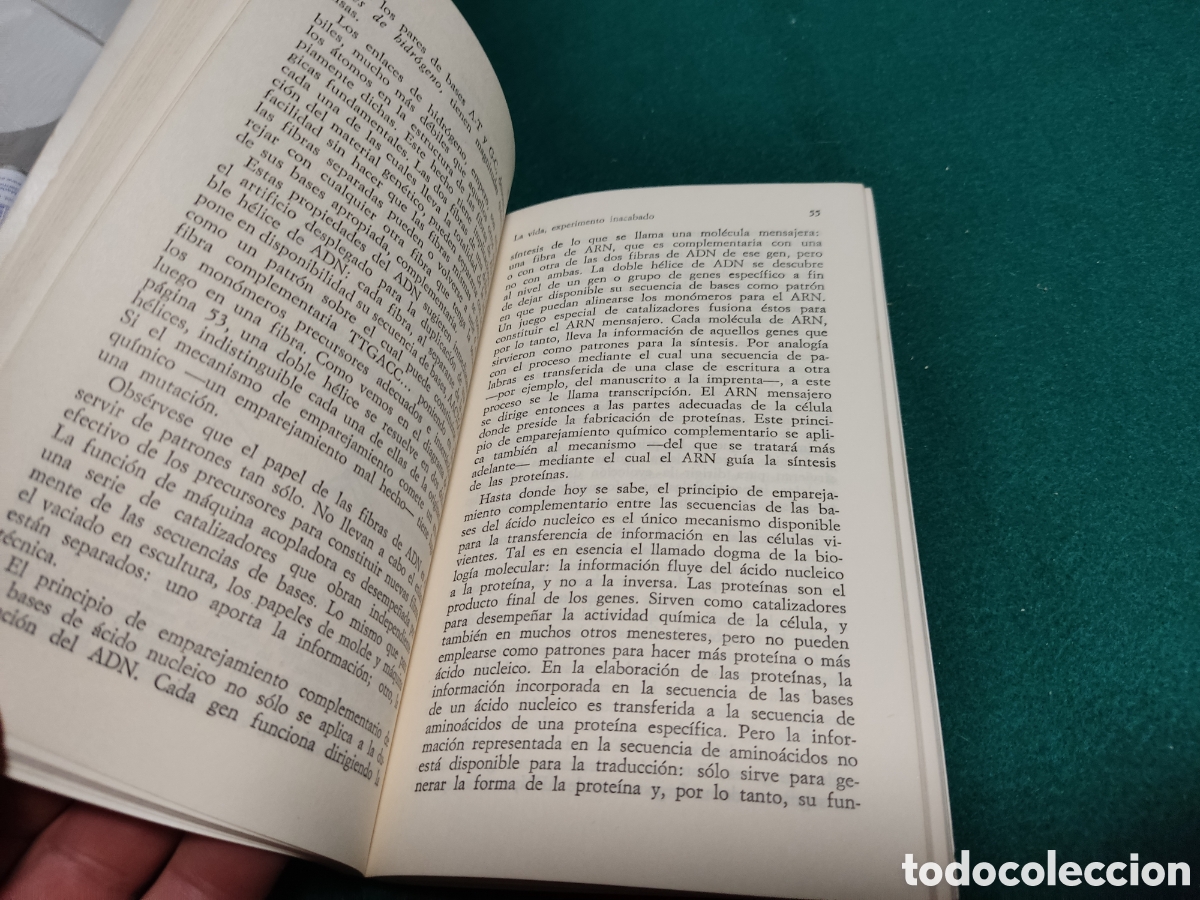 Libros: Libro La vida, experimento inacabado S.E.Luria - Foto 3