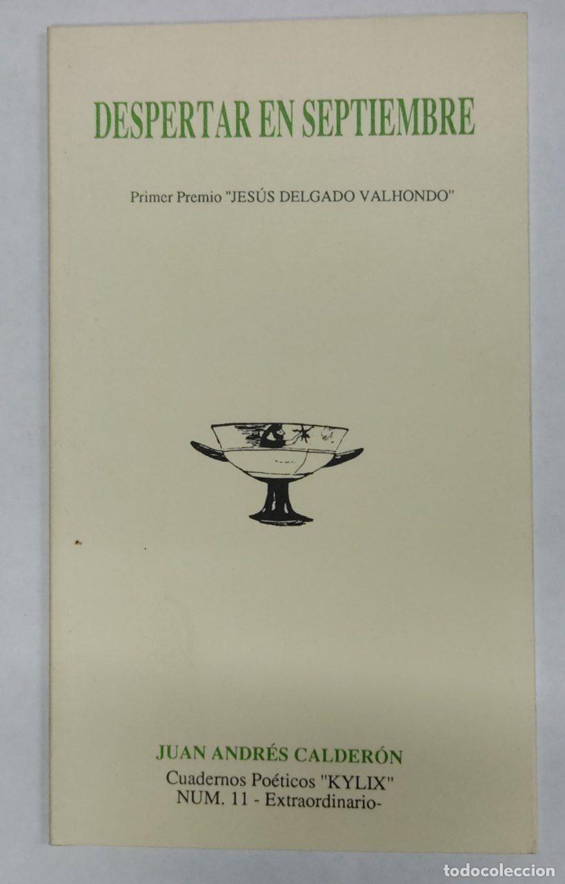 Libros: Despertar en Septiembre. Primer premio Jesus Delgado Valhondo - Foto 1