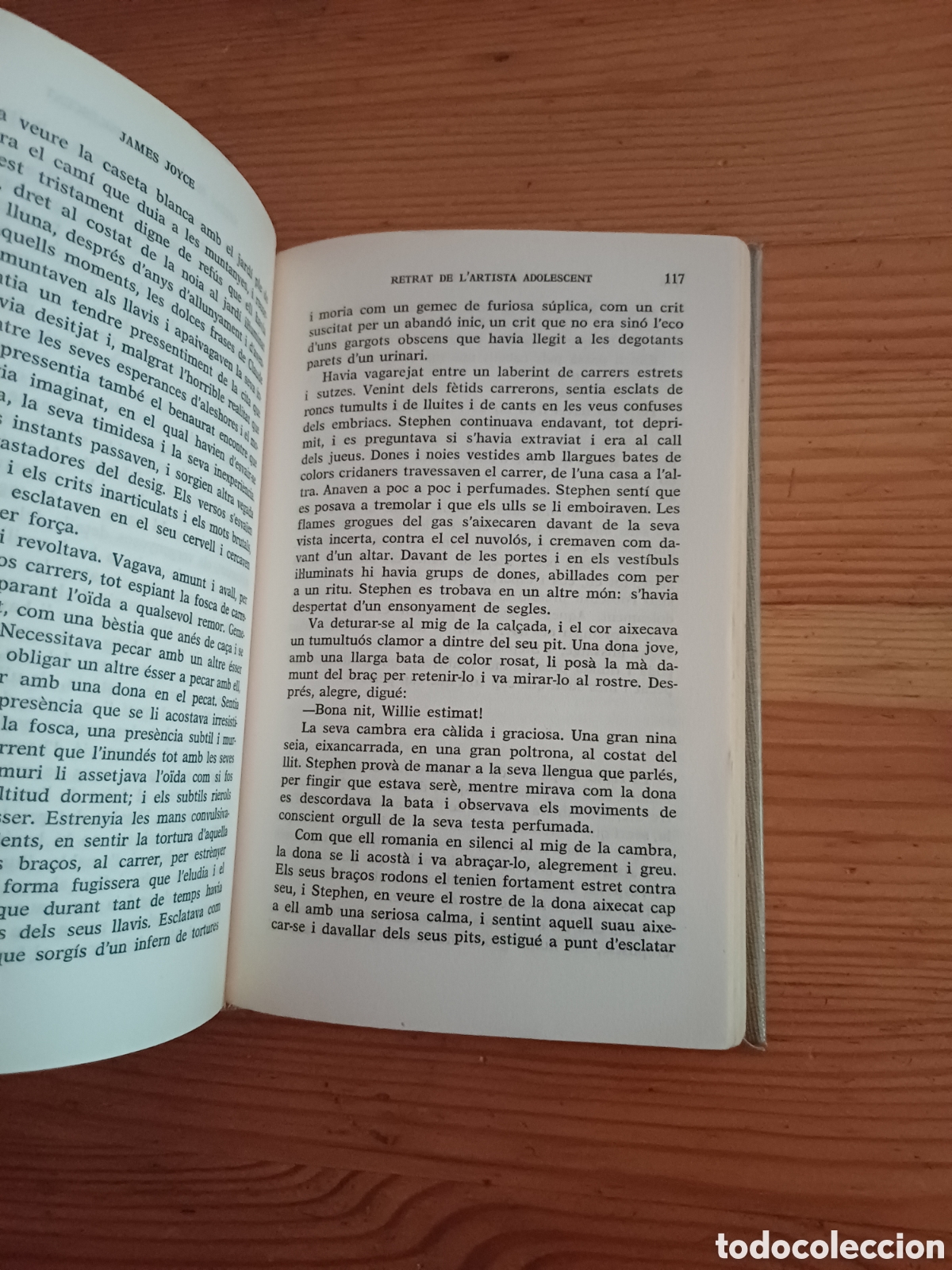 Libros: Retrat de lartista adolescent James Joyce Navars Navas - Foto 3