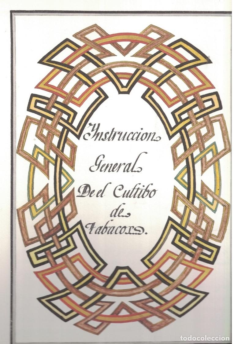 Libros: YNSTRUCCI&Oacute;N GENERAL DE EL CULTIBO DE TABACOS. - Rap&uacute;n. Nicol&aacute;s Josef, - Foto 2