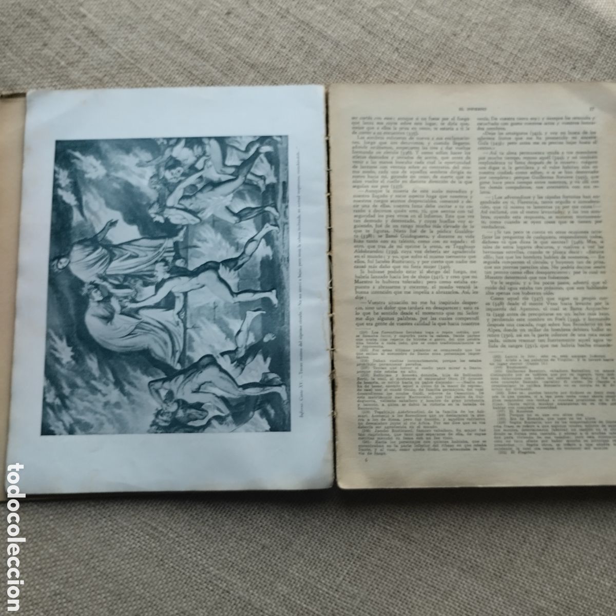 Libros: Libro. LA DIVINA COMEDIA. Dante Alighieri - Foto 9