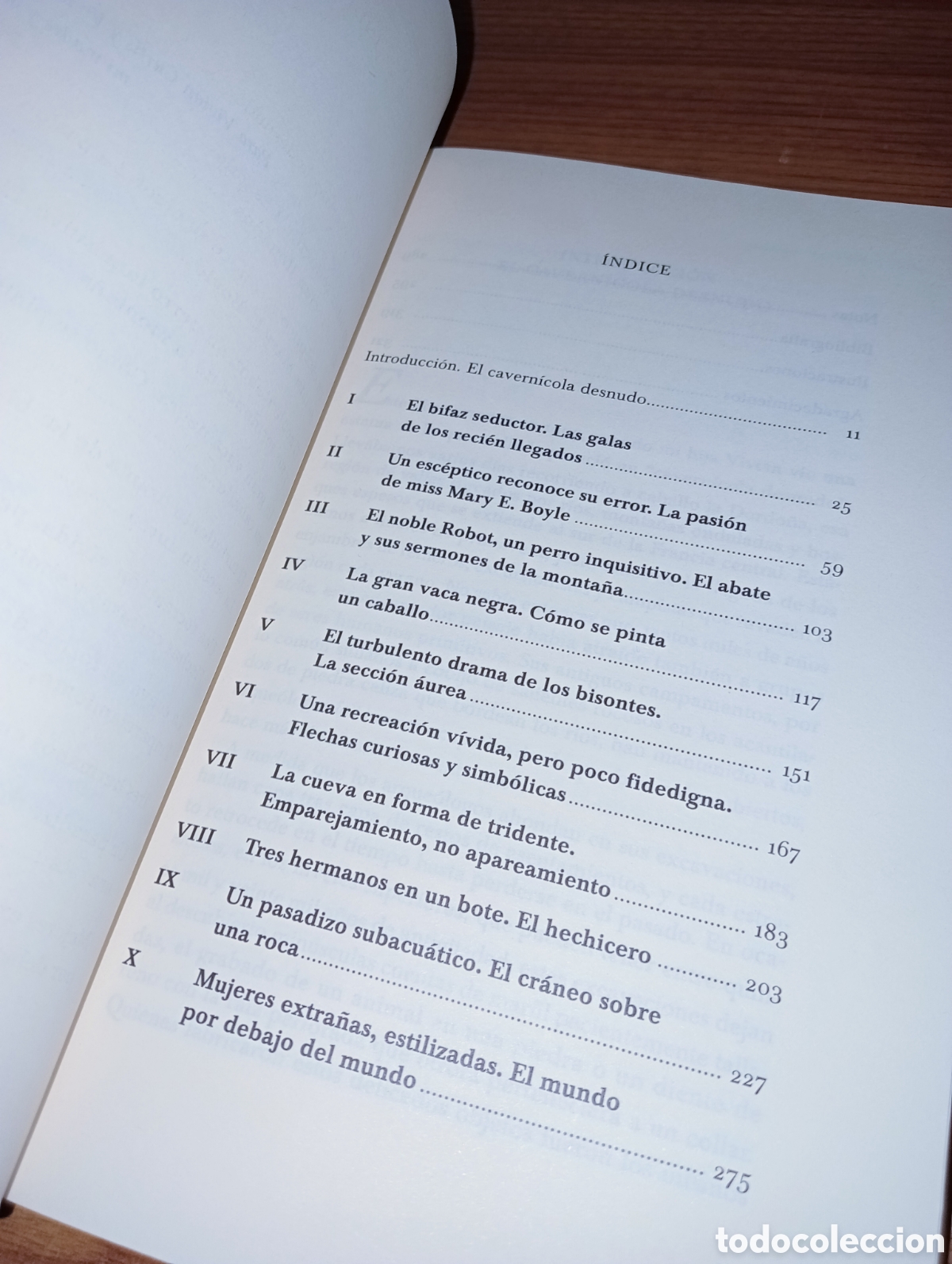 Libros: Los pintores de las cavernas - Foto 4