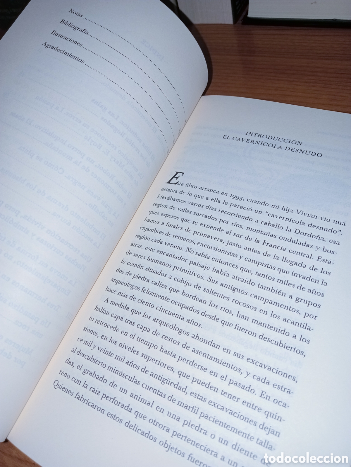 Libros: Los pintores de las cavernas - Foto 5