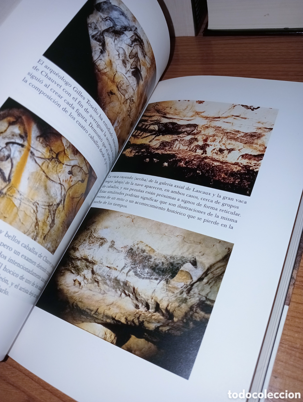 Libros: Los pintores de las cavernas - Foto 7