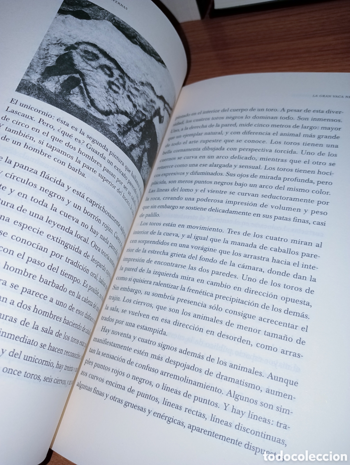 Libros: Los pintores de las cavernas - Foto 8
