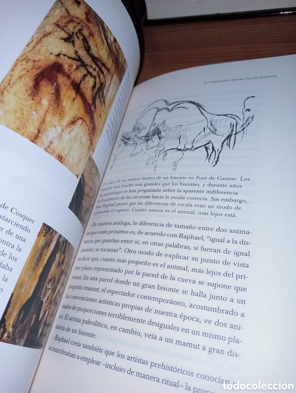 Libros: Los pintores de las cavernas - Foto 9