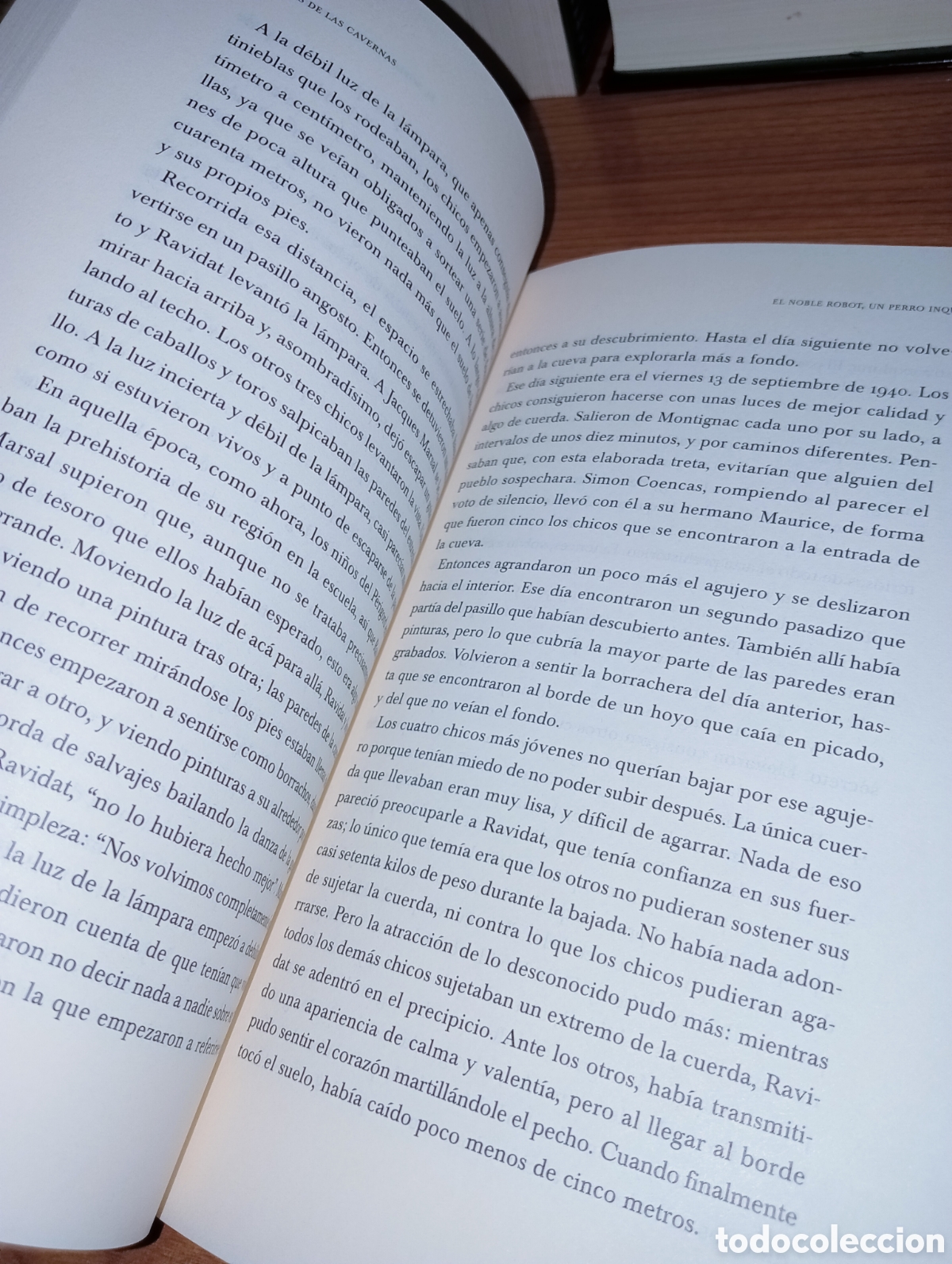 Libros: Los pintores de las cavernas - Foto 10