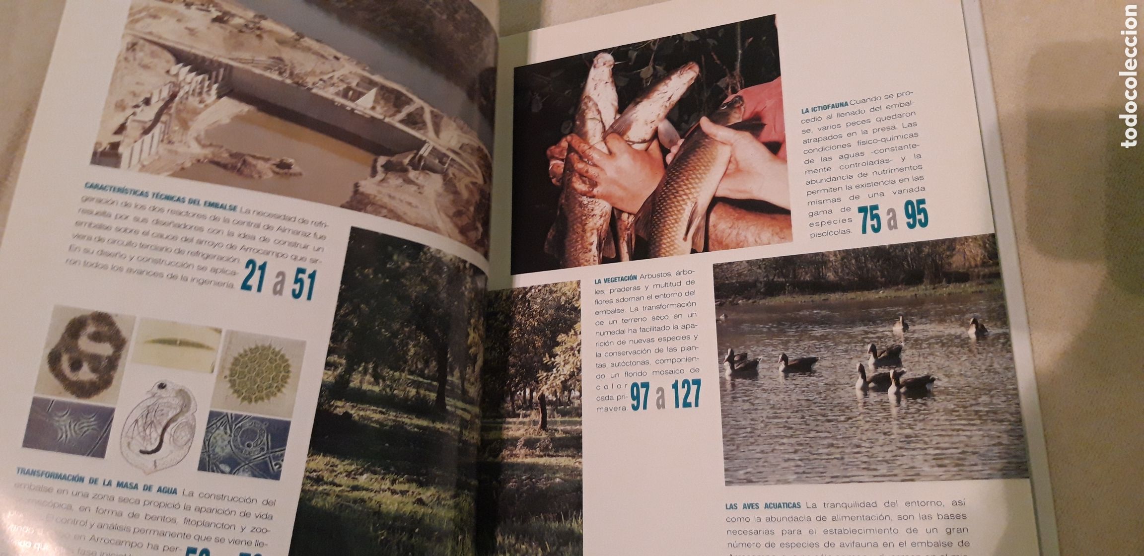Libros: EL EMBALSE DE ARROCAMPO - Foto 5