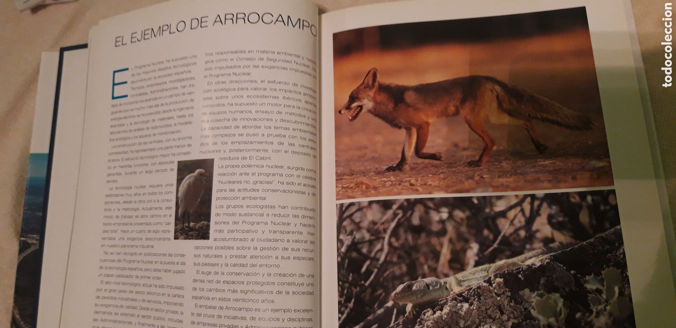 Libros: EL EMBALSE DE ARROCAMPO - Foto 7