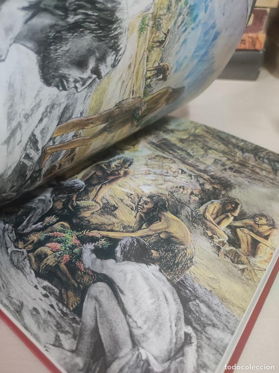 Libros: La formaci&oacute;n de la humanidad II - Richard E. Leakey - Foto 2