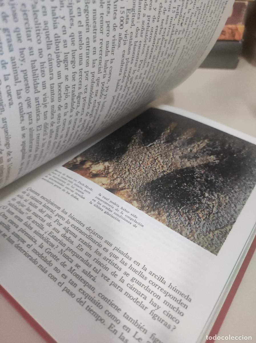 Libros: La formaci&oacute;n de la humanidad II - Richard E. Leakey - Foto 3