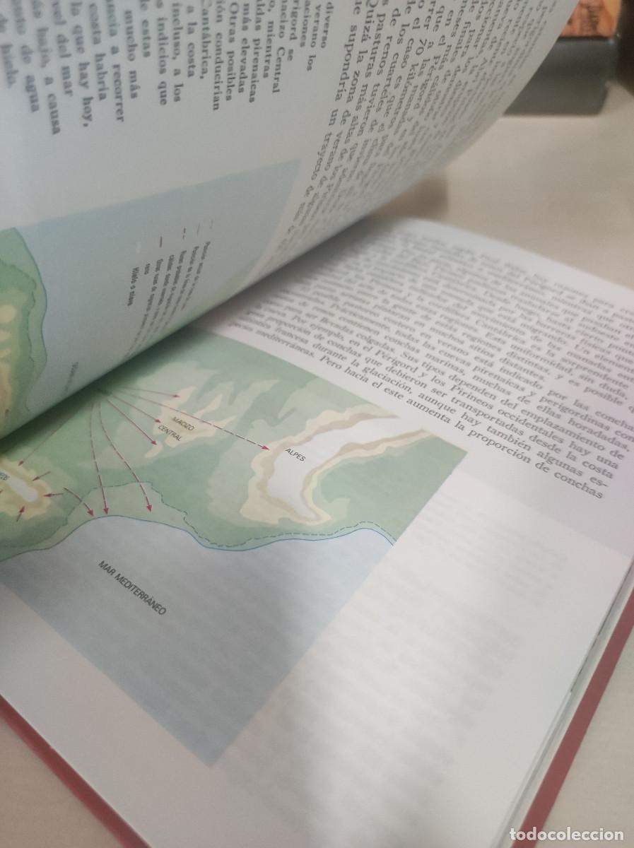 Libros: La formaci&oacute;n de la humanidad II - Richard E. Leakey - Foto 4