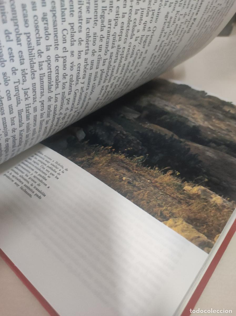 Libros: La formaci&oacute;n de la humanidad II - Richard E. Leakey - Foto 5