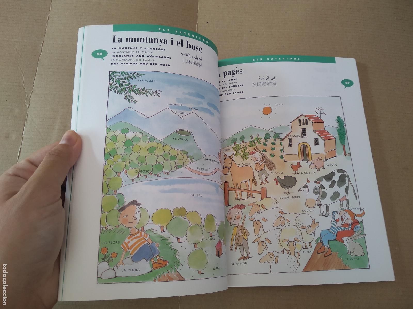 Libros: LIBRO EN CATALAN VOCABULARI EN IMATGES GENERALITAT DE CATALUNYA - Foto 2