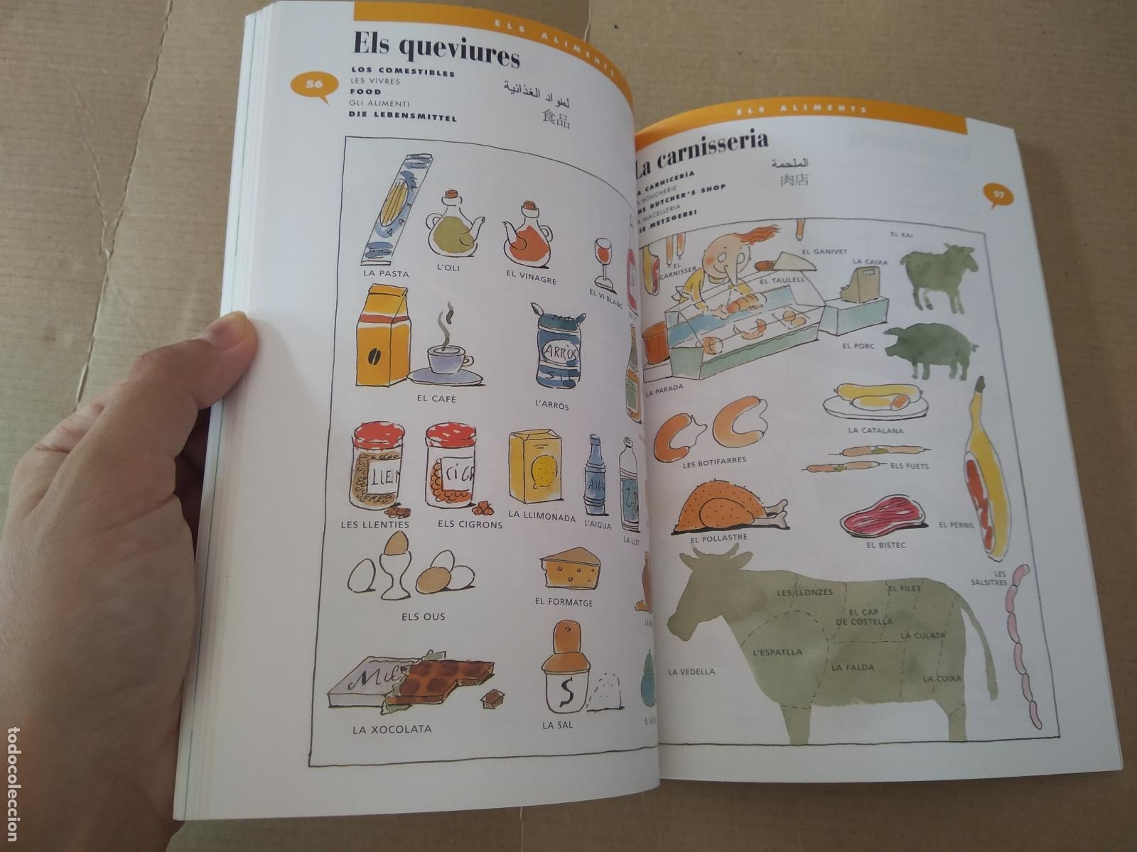 Libros: LIBRO EN CATALAN VOCABULARI EN IMATGES GENERALITAT DE CATALUNYA - Foto 5