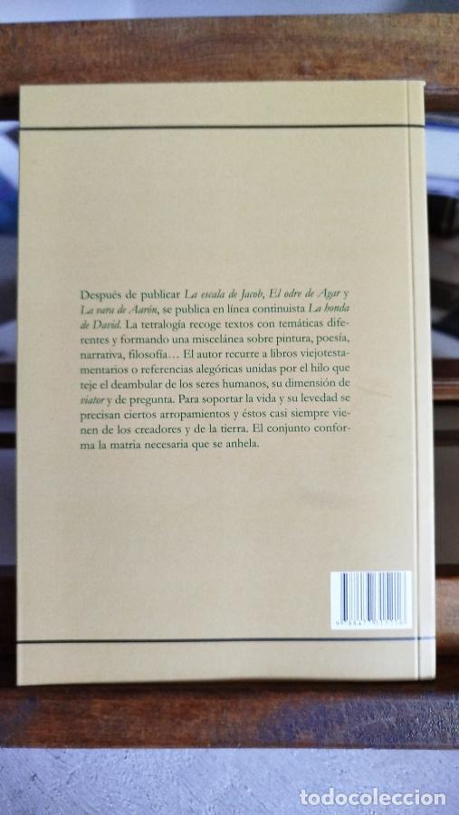 Libros: La honda de David - Blanco Rodr&iacute;guez, Rogelio - Foto 2
