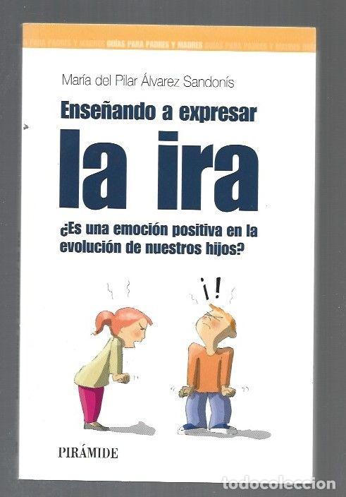 Libros: ENSE&Ntilde;ANDO A EXPRESAR LA IRA - ALVAREZ SANDONIS, MARIA DEL PILAR - Foto 1
