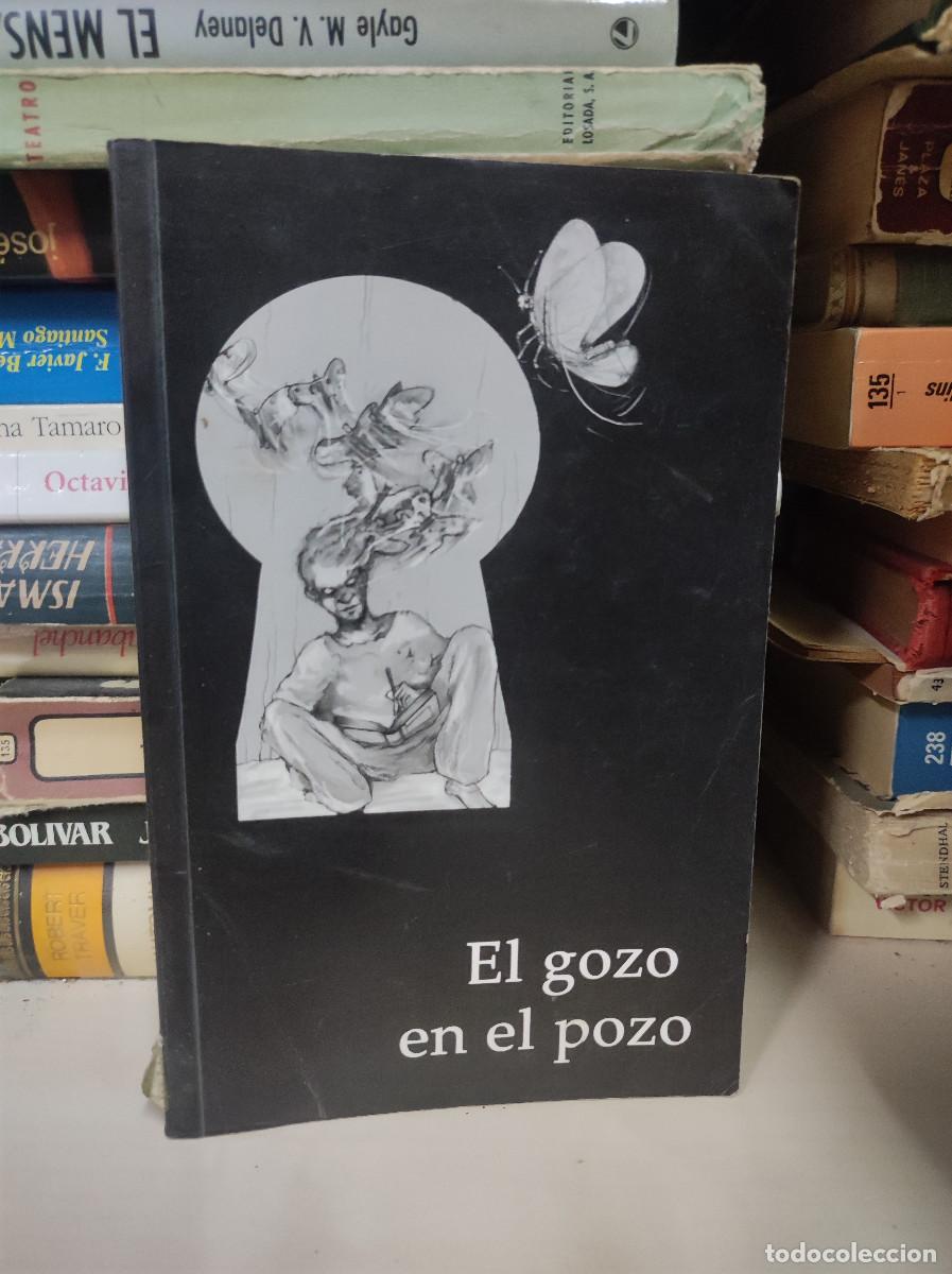 Libri di seconda mano: GOZO EN EL POZO, EL ; Autor: Jos&eacute; Mart&iacute;n Rufete