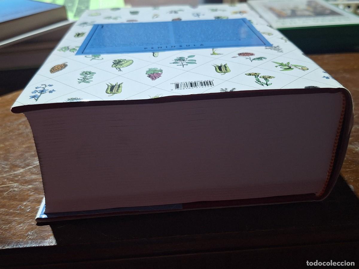Libros: PLANTAS MEDICINALES - PIO FONT QUER - Foto 4