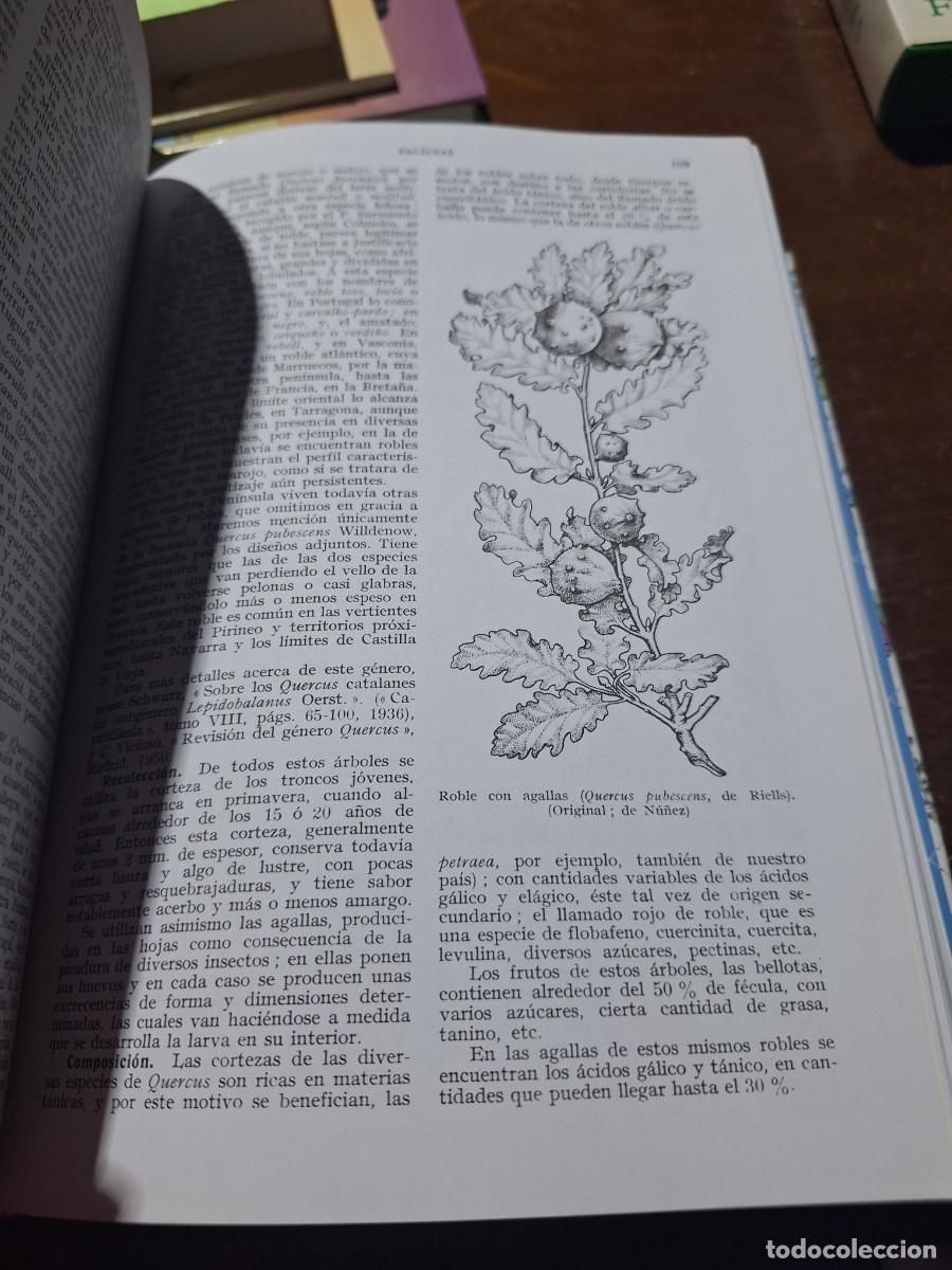 Libros: PLANTAS MEDICINALES - PIO FONT QUER - Foto 10