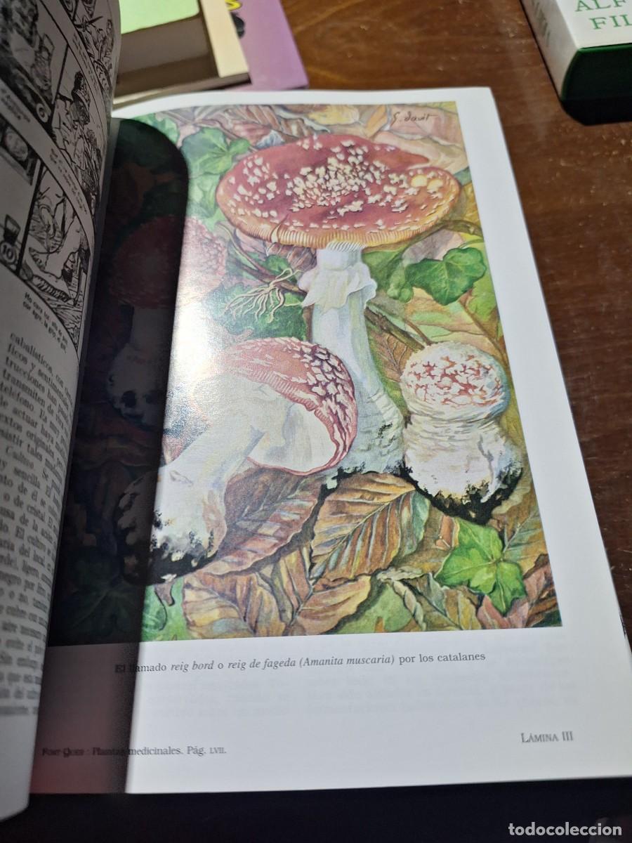 Libros: PLANTAS MEDICINALES - PIO FONT QUER - Foto 13