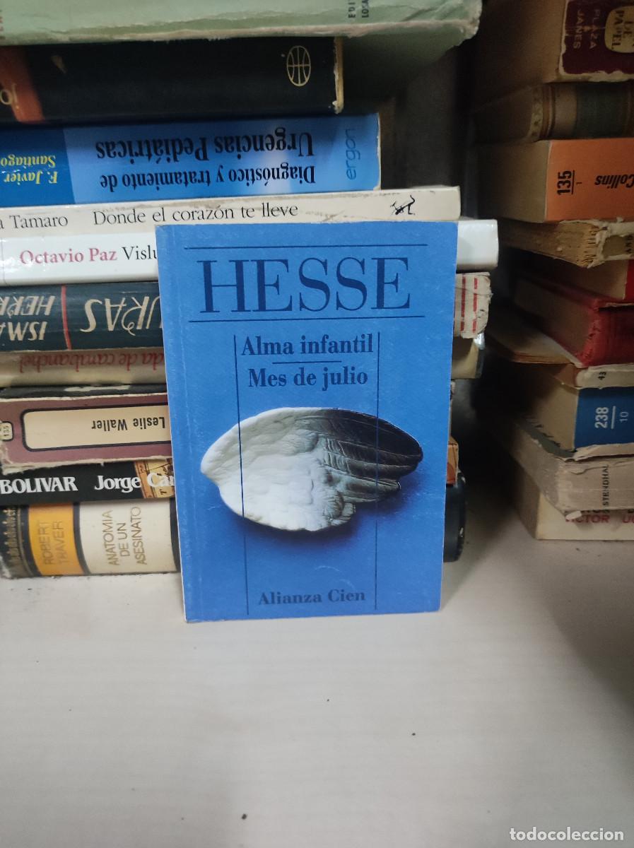 Libri di seconda mano: HESSE ALMA INFANTIL MES DE JULIO