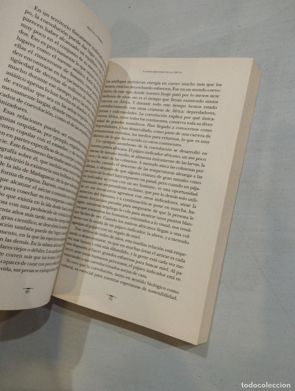 Libros: Tim Flannery - Aqu&iacute; en la tierra. Argumentos para la esperanza - Foto 2