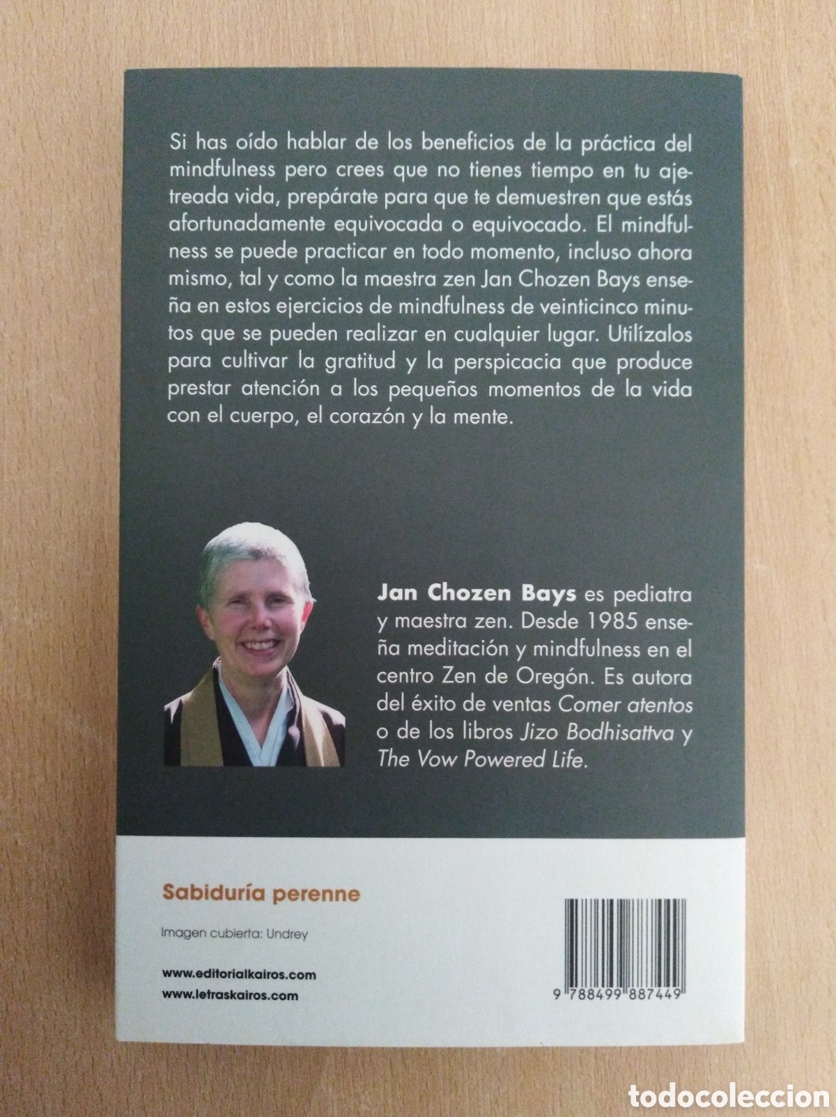 Libros: MINDFULNESS SOBRE LA MARCHA. Jan Chozen Bays - Foto 2