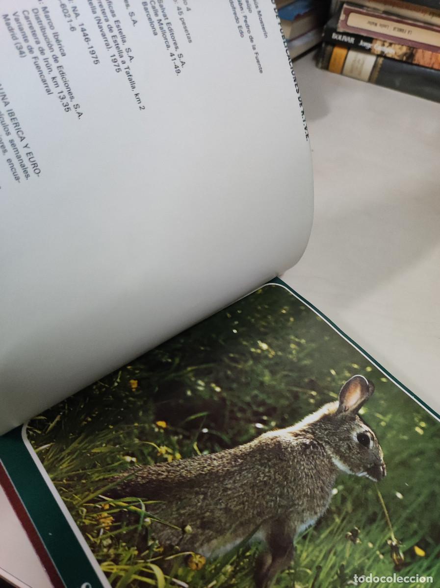 Libros: SALVAT RTVE FAUNA Y FLORA DE ESPA&Ntilde;A - Foto 2