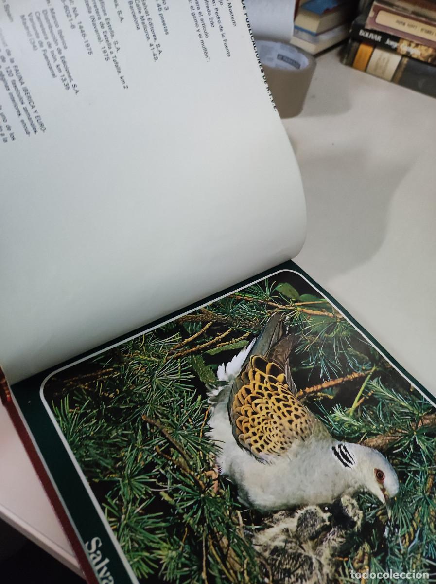 Libros: SALVAT RTVE FAUNA Y FLORA DE ESPA&Ntilde;A - Foto 3