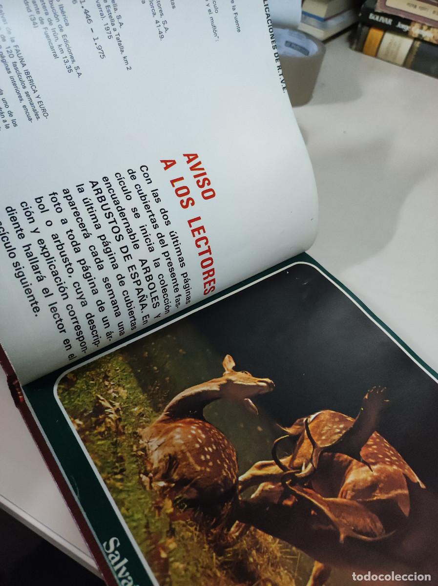 Libros: SALVAT RTVE FAUNA Y FLORA DE ESPA&Ntilde;A - Foto 4