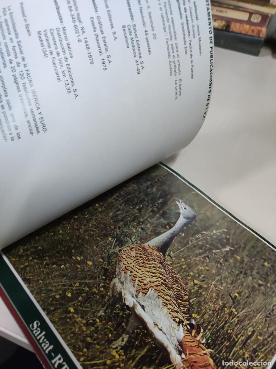 Libros: SALVAT RTVE FAUNA Y FLORA DE ESPA&Ntilde;A - Foto 6