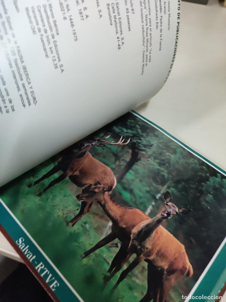 Libros: SALVAT RTVE FAUNA Y FLORA DE ESPA&Ntilde;A - Foto 7