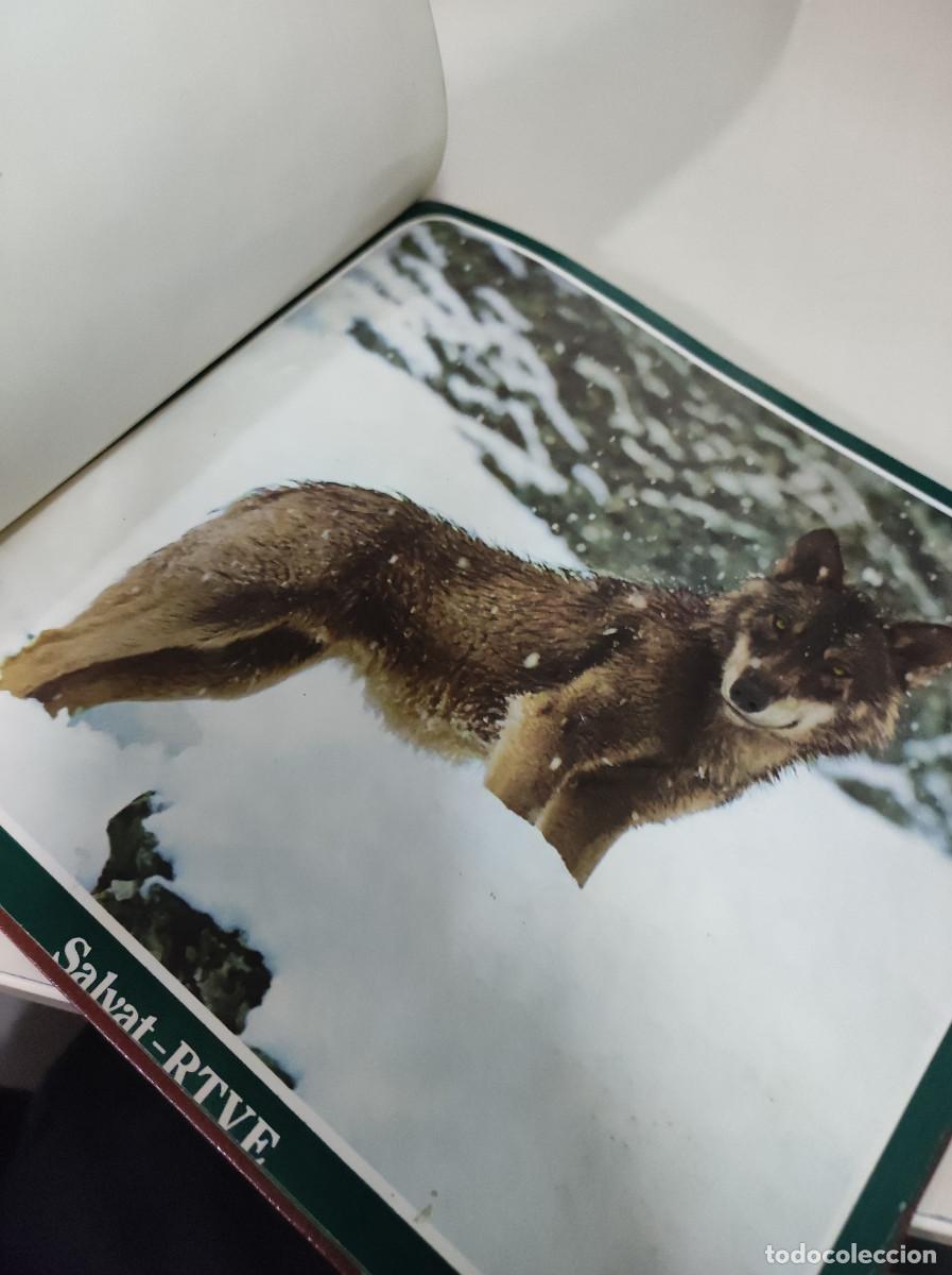 Libros: SALVAT RTVE FAUNA Y FLORA DE ESPA&Ntilde;A - Foto 8