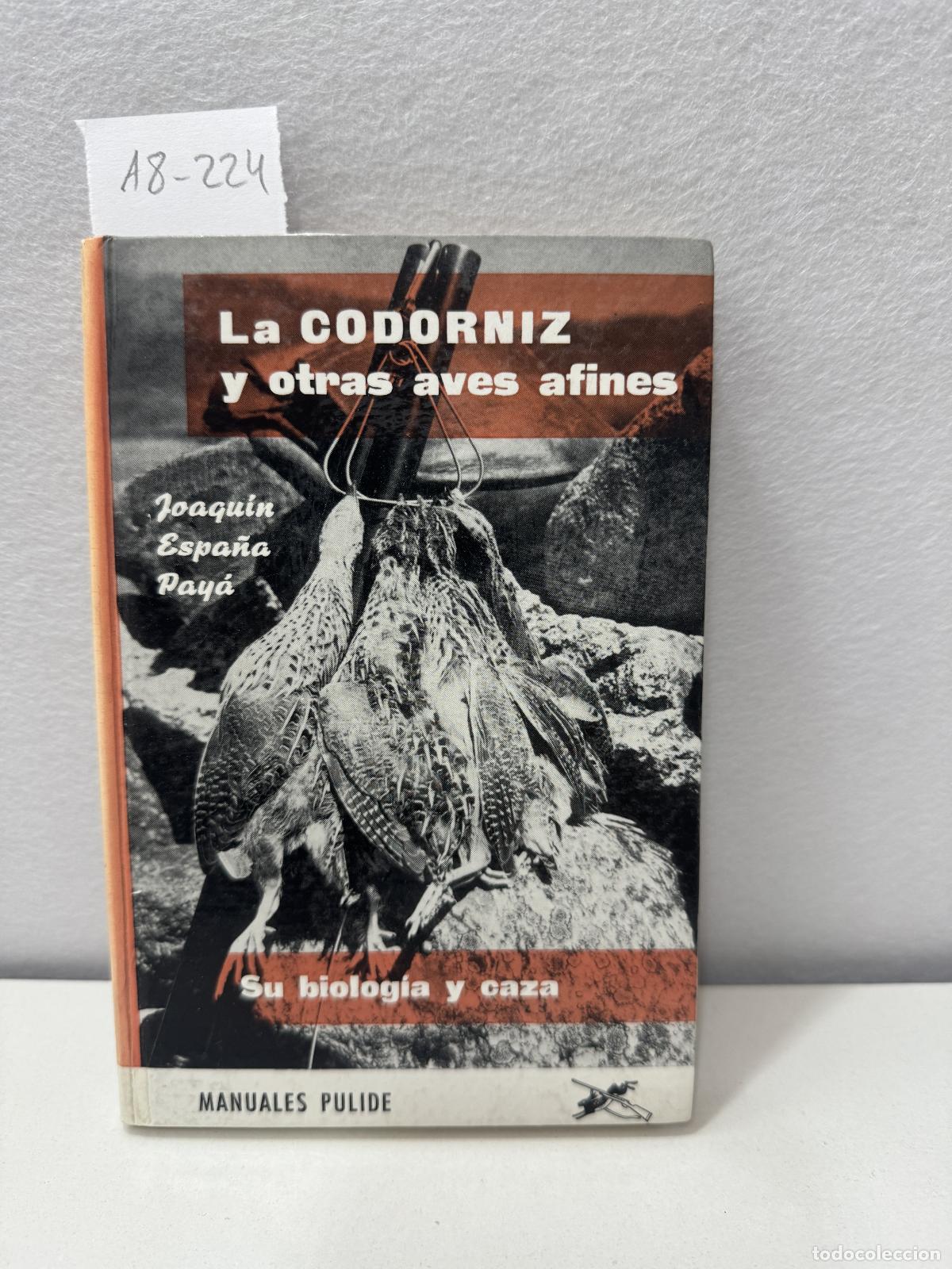 Libros: ESPA&Ntilde;A PAY&Aacute;, Joaqu&iacute;n: - La codorniz y otras aves afines. - Foto 1