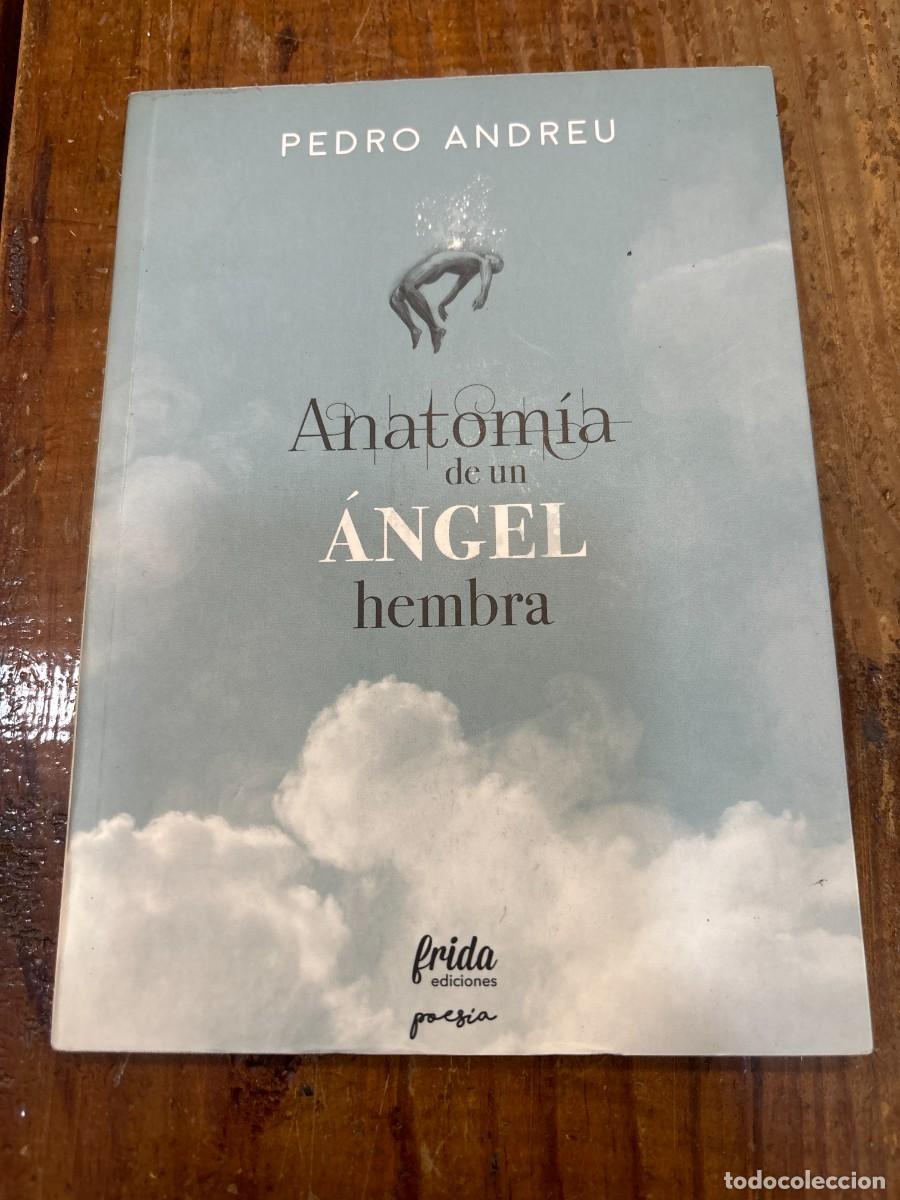 Libros: Anatom&iacute;a de un &aacute;ngel hembra - Andreu L&oacute;pez, Pedro - Foto 1