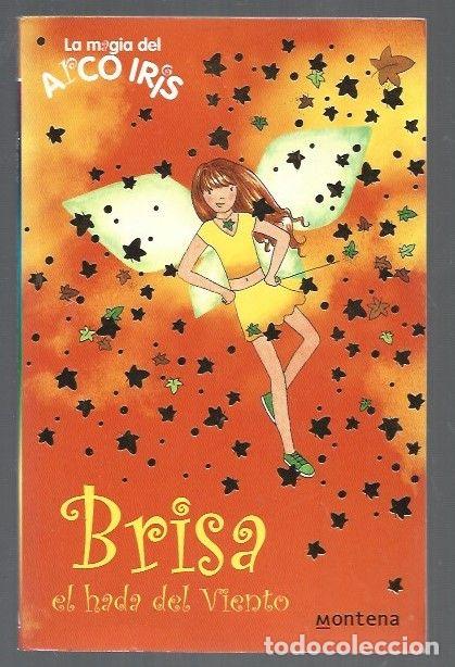 Libros: LA MAGIA DEL ARCO IRIS: BRISA, EL HADA DEL VIENTO - MEADOWS, DAISY - Foto 1