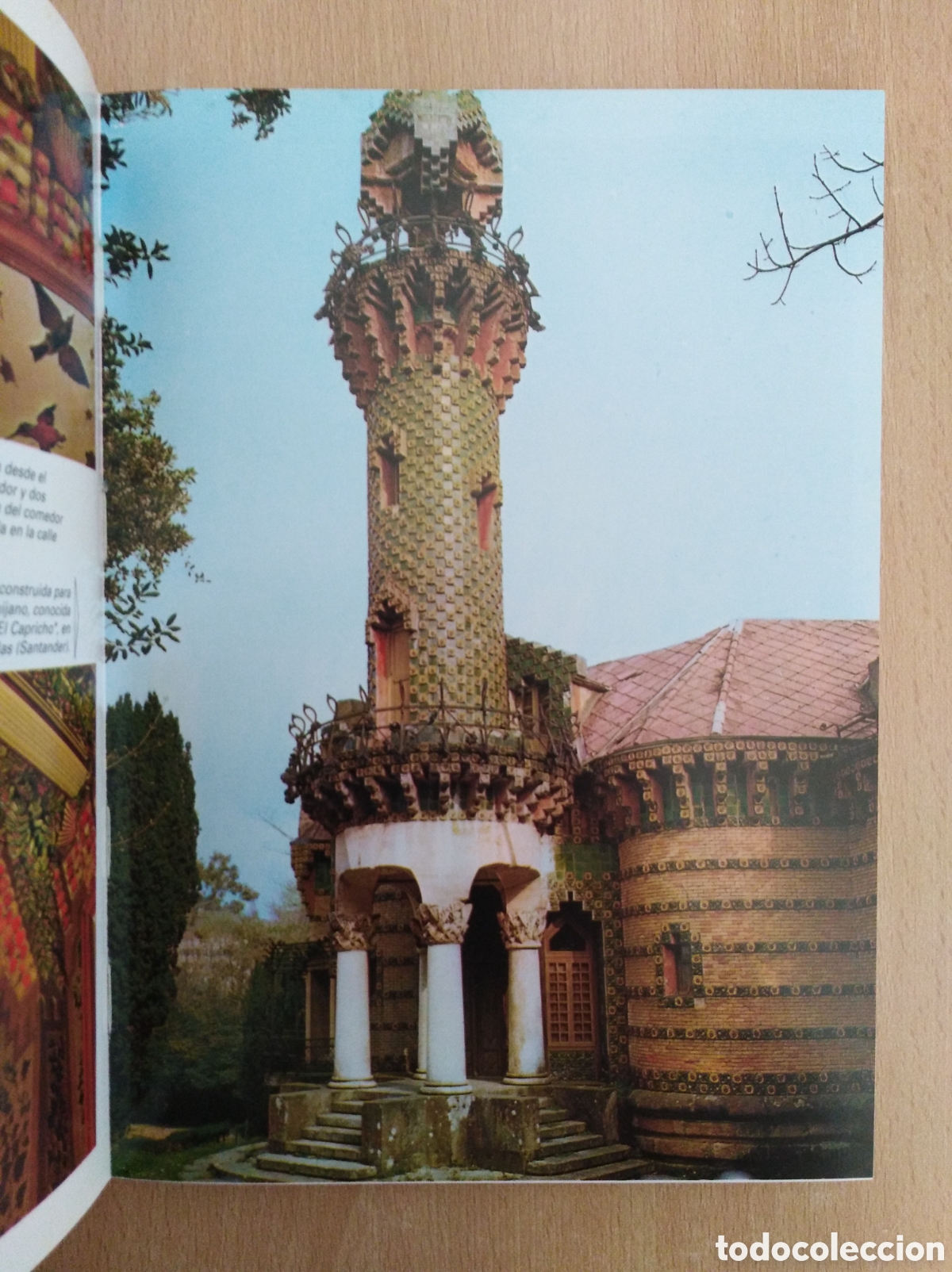 Libros: GAUD&Iacute;. Editorial Escudo de Oro - Foto 8