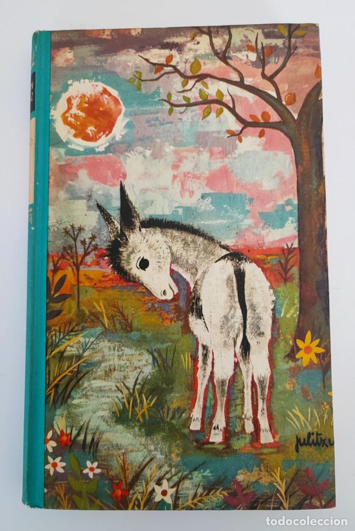 Libros: PLATERO Y YO - Juan Ram&oacute;n Jim&eacute;nez - Foto 1
