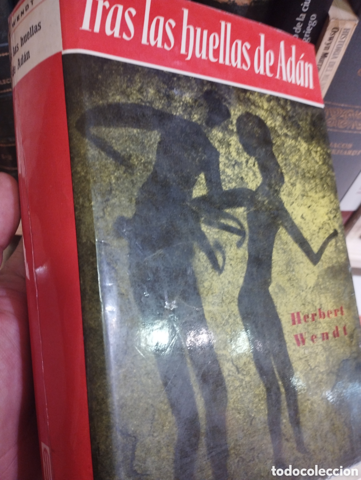 Libros: TRAS LAS HUELLAS DE ADAN - WENDT , Herbert - Foto 1