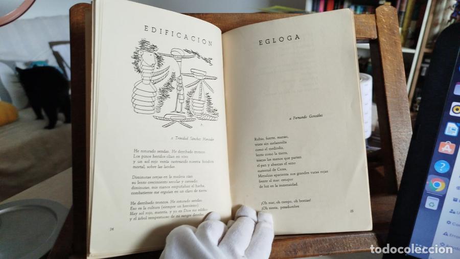Libros: El principio sin fin - Celaya, gabriel - Foto 4