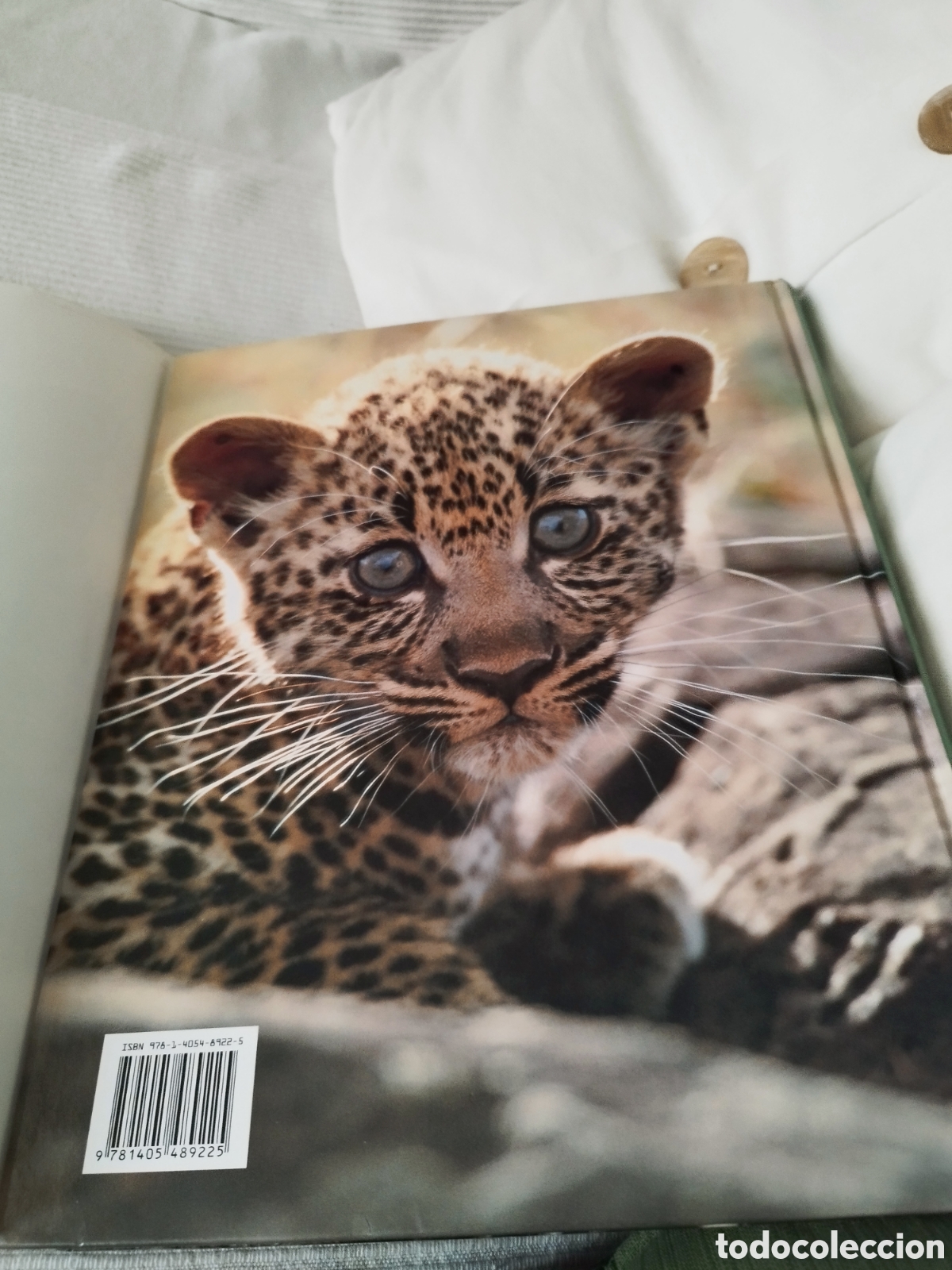 Libros: Libro Felinos Salvajes - Foto 2