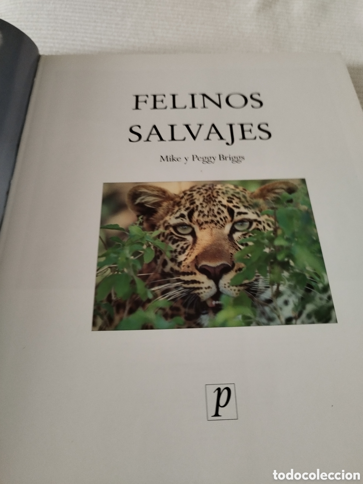 Libros: Libro Felinos Salvajes - Foto 3