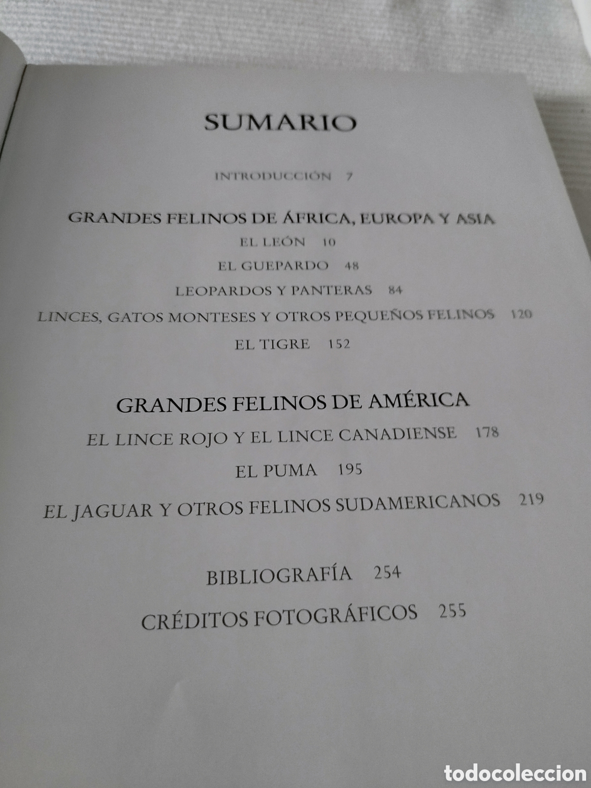Libros: Libro Felinos Salvajes - Foto 7